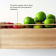 Illustration for article titled Low-tech designs for keeping food fresh in the post-apocalypse